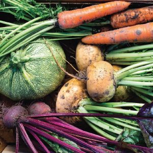 organic local vegetables produce from Bali Indonesia