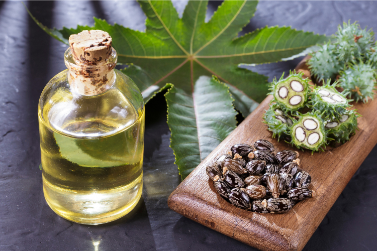 A glass bottle of castor oil and a display of leafs and seeds of the castor plant
