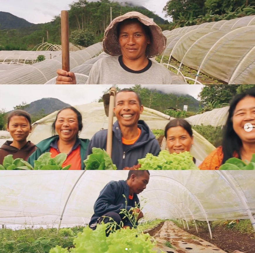 Farmers from the Bali Organic Association