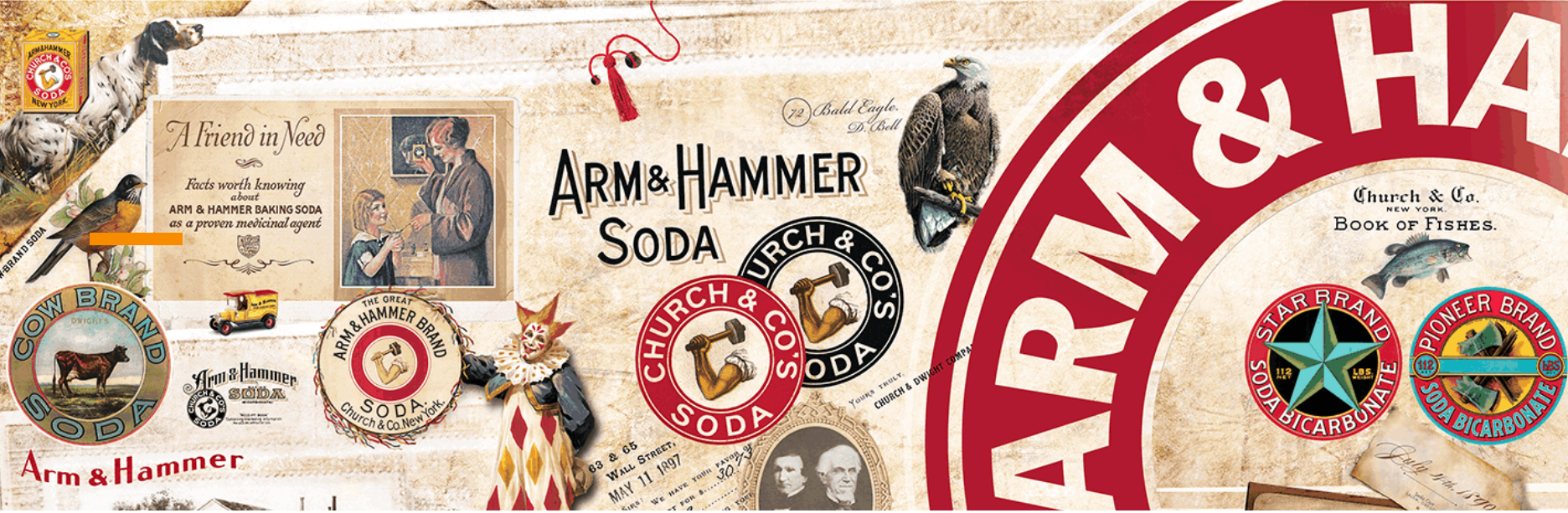 The 15 Superpowers of Baking Soda Bali Buda