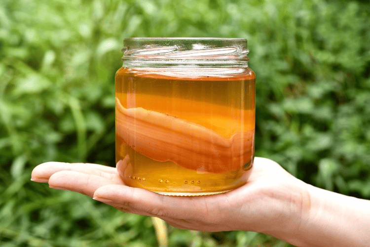 a jar of kombucha with a scoby inside, held on an opened palm