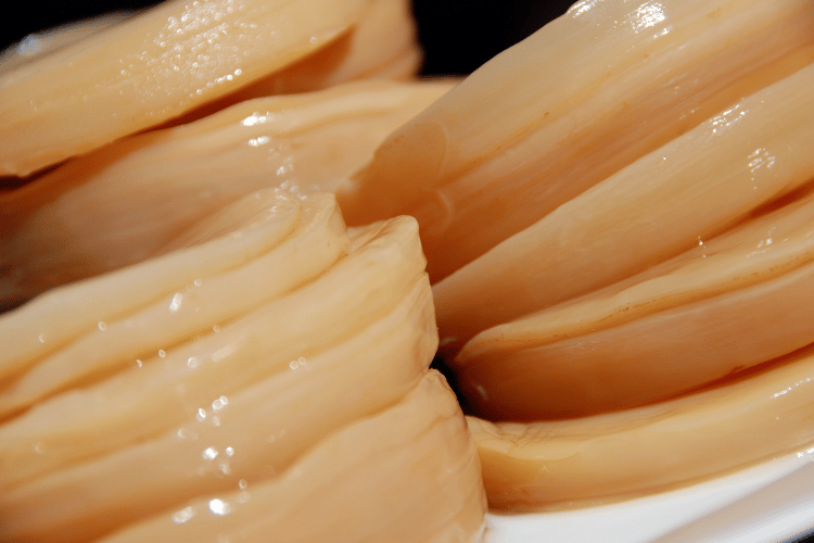 close-up on scobys