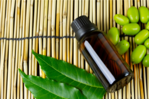 Neem leaves, a bottle of neem oil and neem seeds