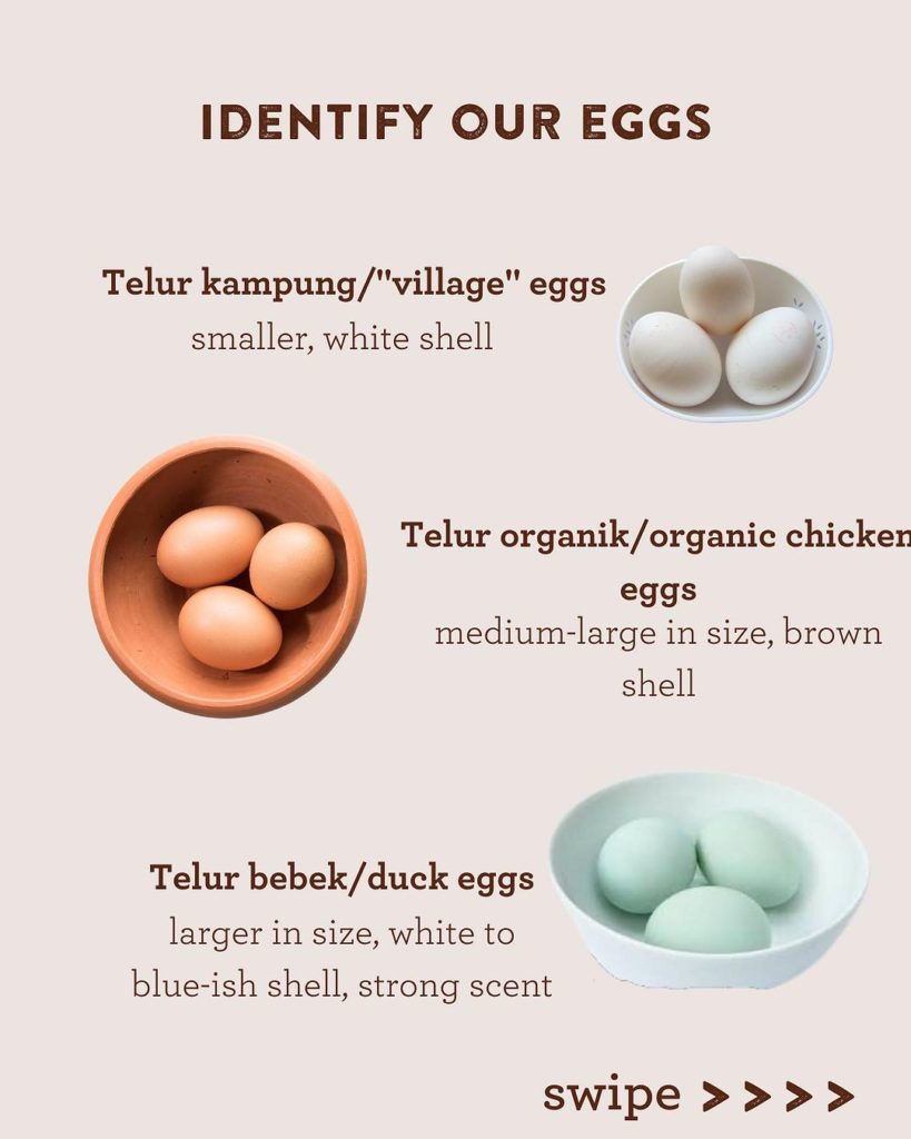 different eggs at Bali Buda: white telur kampung, brown organic free-range chicken eggs and free-range duck eggs