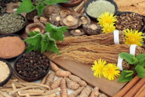 Adaptogens, herbs, mushrooms and flowers on a table